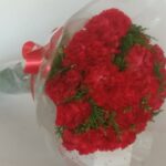 18 Carnations bunch